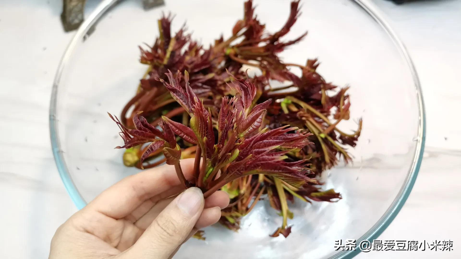 香椿芽怎么才能长期保存才新鲜,香椿芽一年四季都可以吃吗