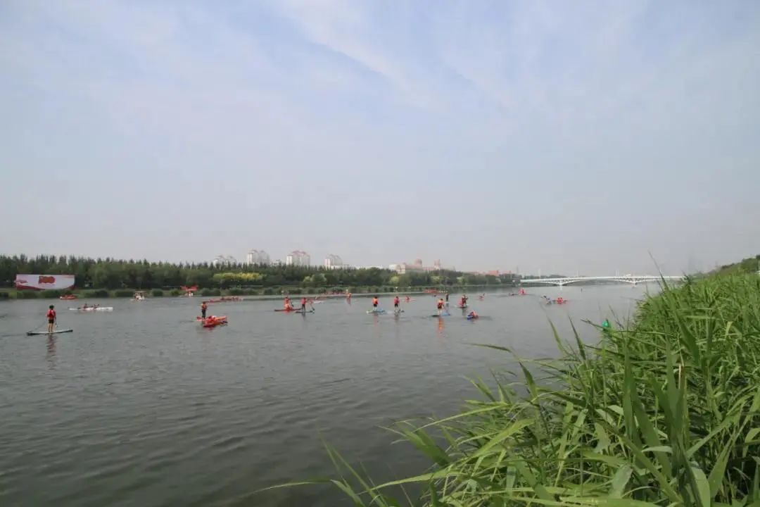 打通生态“绿脉”气象人巧手织了一张绿网