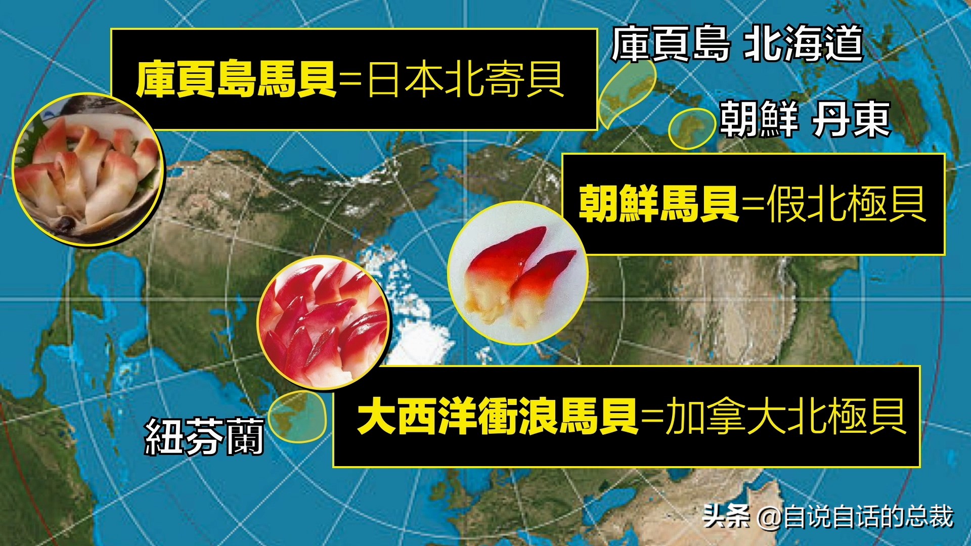 蛏子与小人蚬的区别,贻贝蛤蜊有什么区别