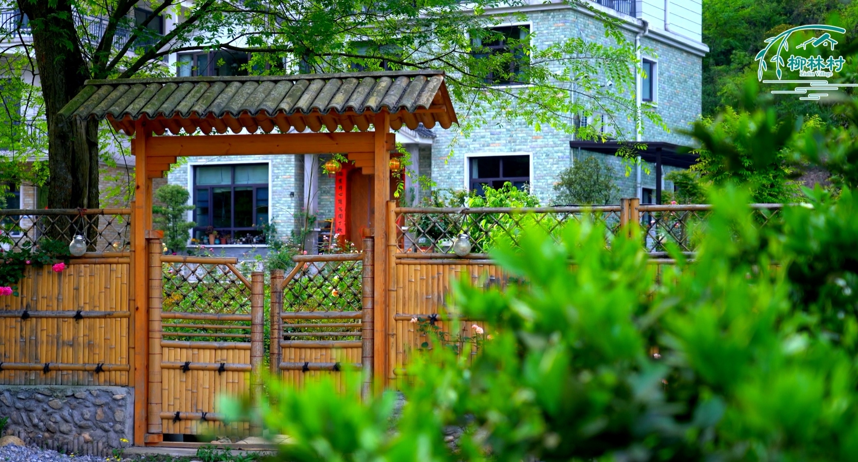 我是支部书记｜“灰姑娘”支书的美丽梦想