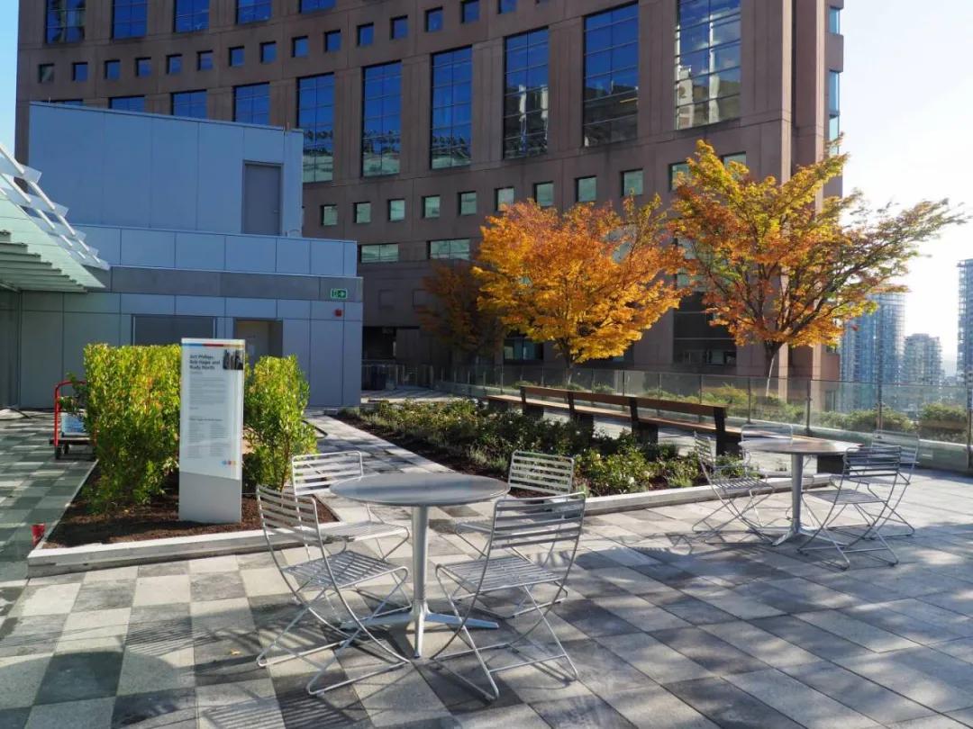 又一巨星陨落享年94岁,又一代巨星的陨落