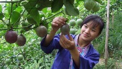 一亩园顶十亩田的顺口溜,人常说1亩三分地是什么意思