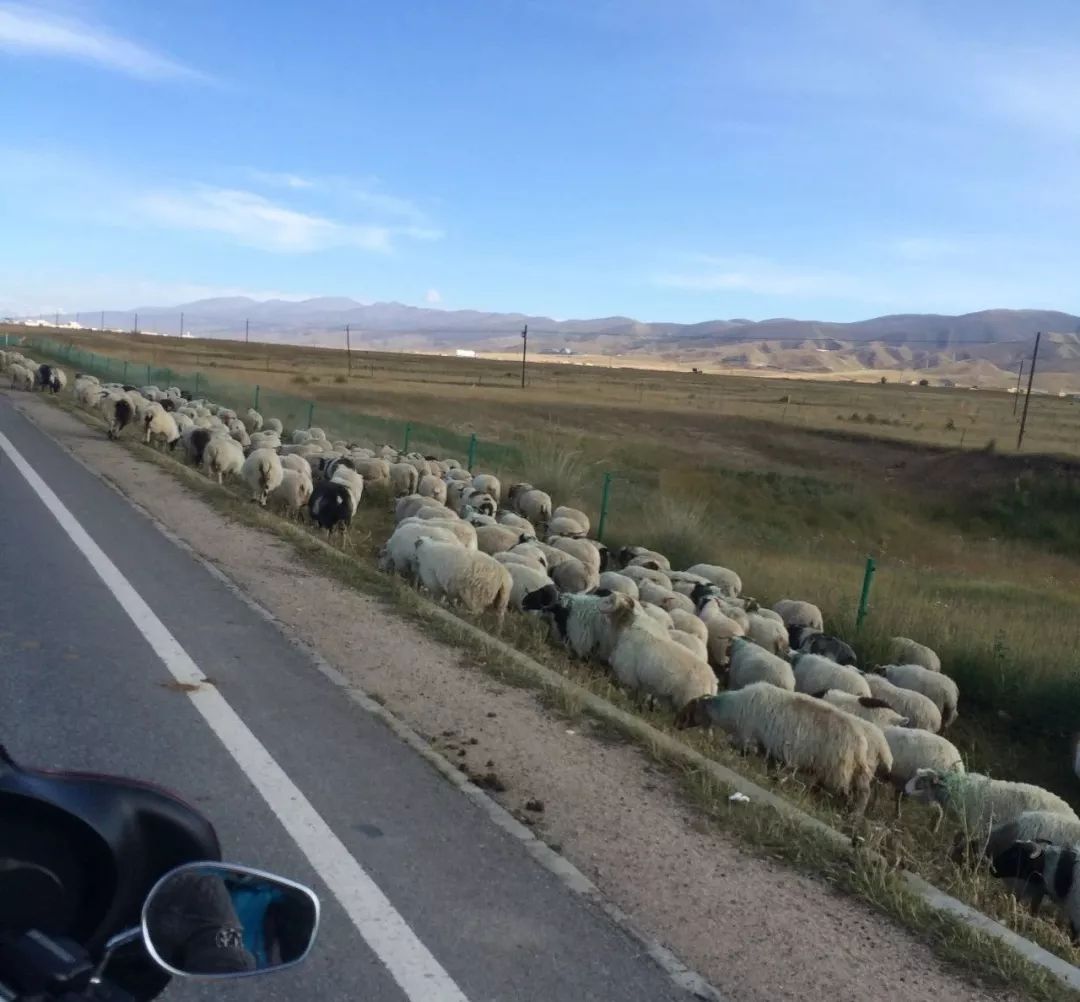 心惊肉跳完整版,心惊肉跳完整视频