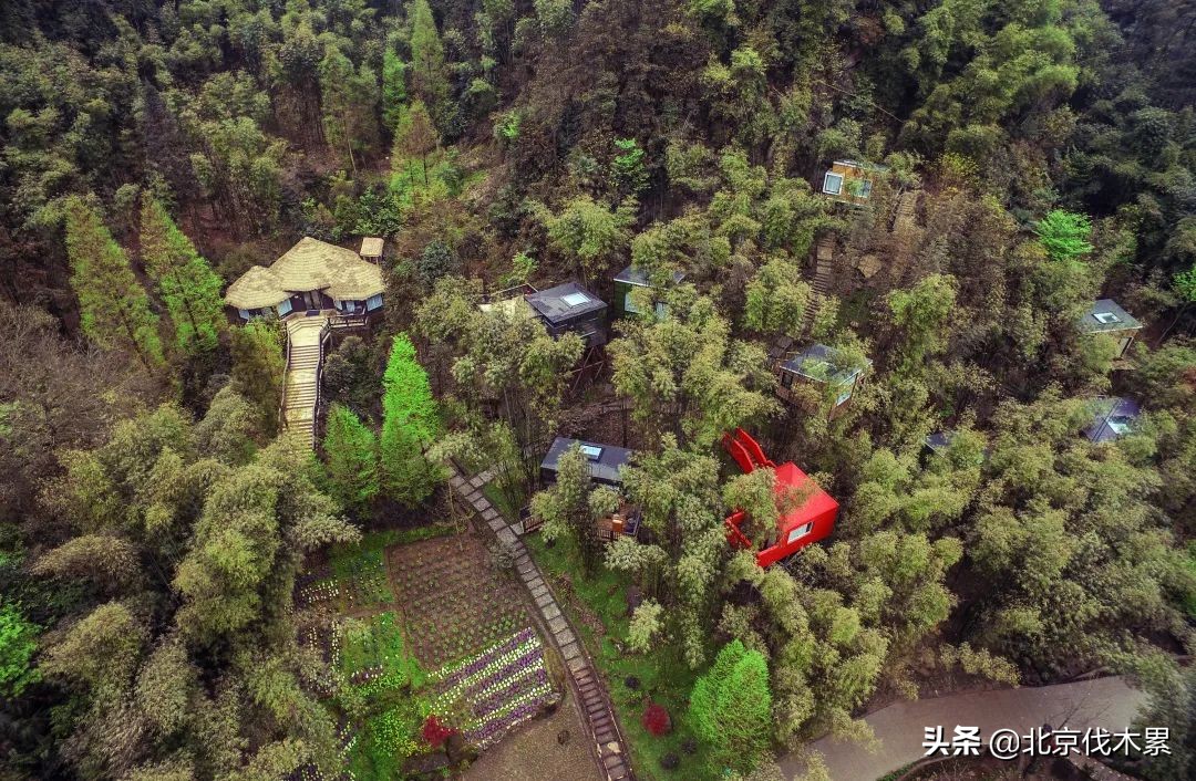 北京中风险区清零,北京中风险地区解除