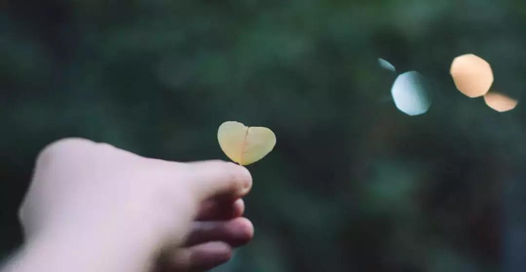 中医刘炳凡,中医刘炳凡治什么病