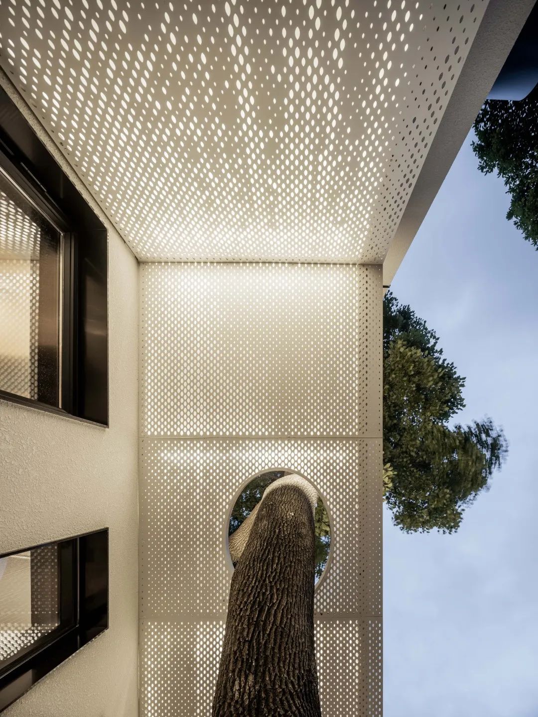 花6年时间建造木屋,花6年建造木屋