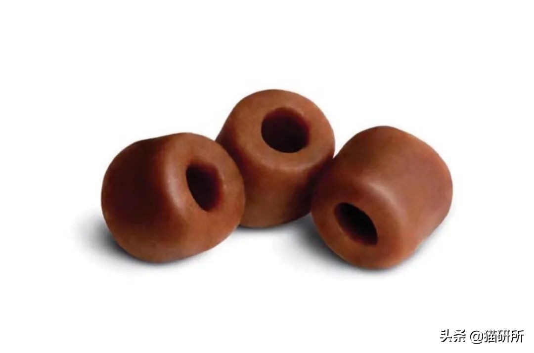 一学就会的喂药秘笈！轻松解决猫咪的吃药难题