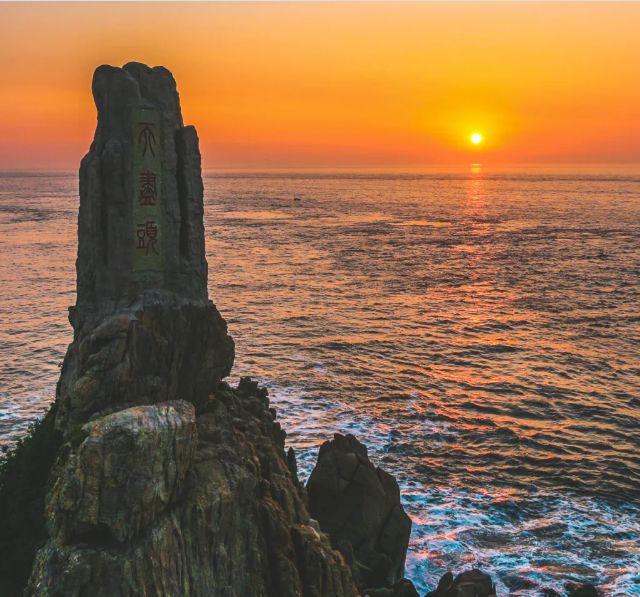 最新山东正在招商的景区,山东免门票的景区都有哪些