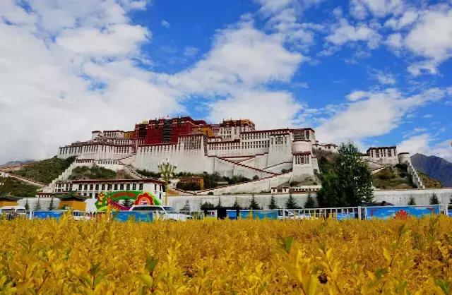 世界上海拔最高的公路！中国最神奇的天路！比川藏线还险10倍！