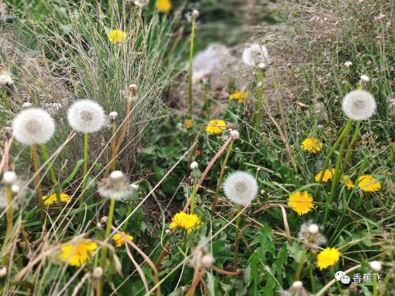 椋庢按鏄撳鍏ラ棬鐭ヨ瘑瑙嗛,瀹㈠巺瑁呬慨椋庢按鐭ヨ瘑澶у叏
