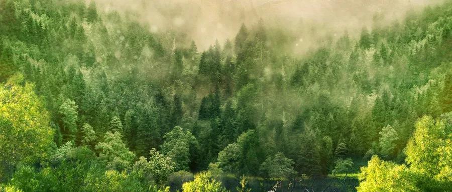 三不比三不言三不争,三不比三不争三不言段子