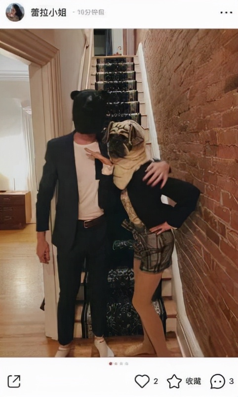 陈赫评价许婧张子萱,许婧和张子萱陈赫