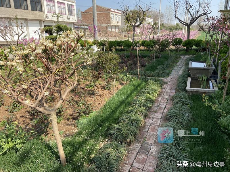 旧小区阳台自制秋千,乡里自制秋千