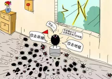 超棒国货去痘痘,祛除痘痘的国货测评