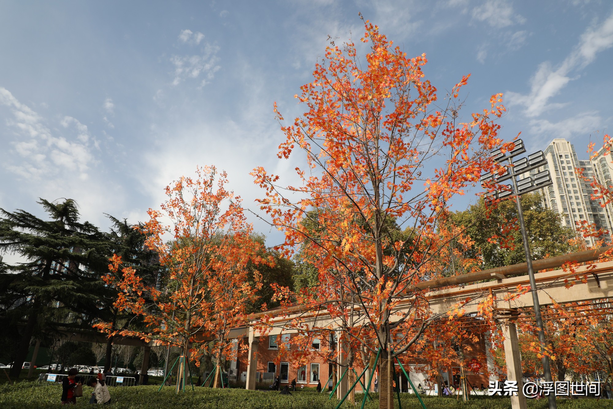 植物假树叶,人造树叶诞生