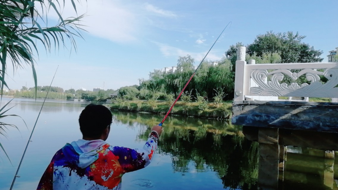 浮漂有口打不到鱼,鱼吃饵浮漂信号不明显怎么办