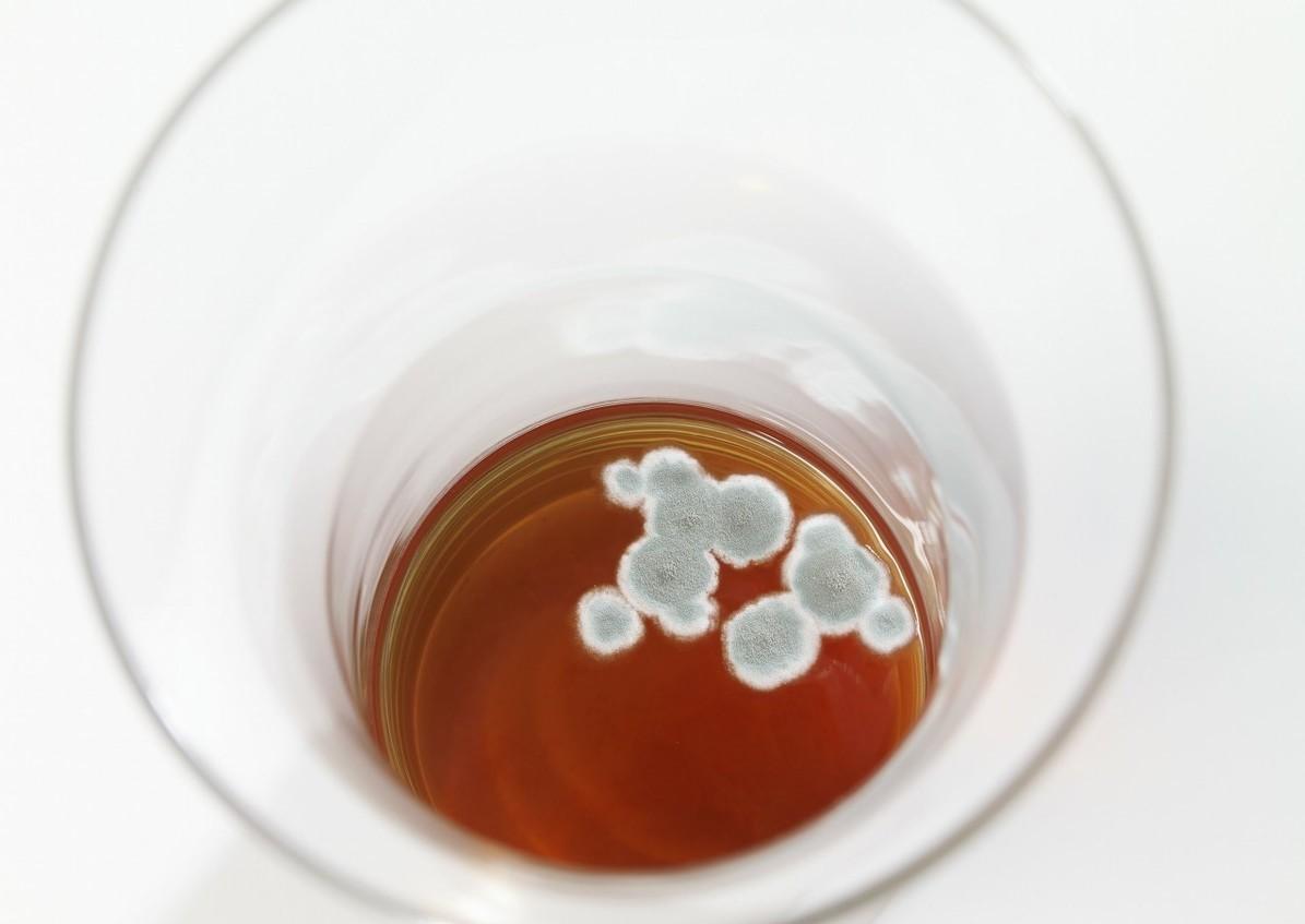 红曲他汀与化学他汀的区别是什么,功能红曲含有多少种天然他汀