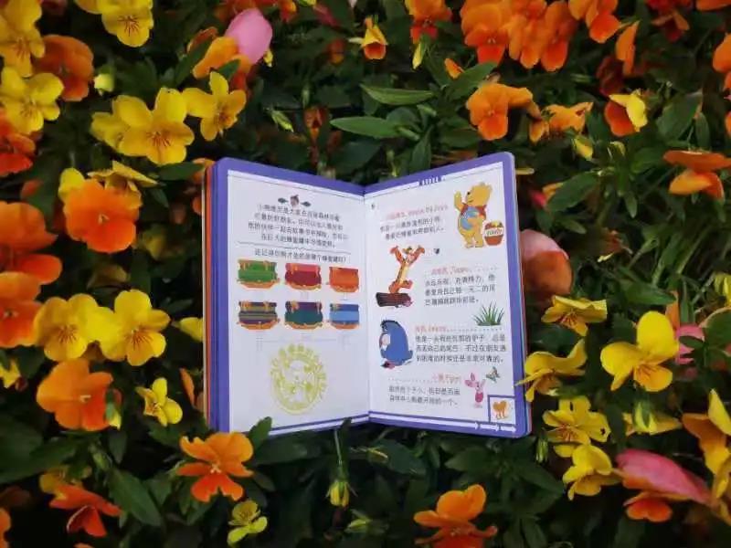 「上海迪士尼5周年」梦想护照，没想到你是这样的