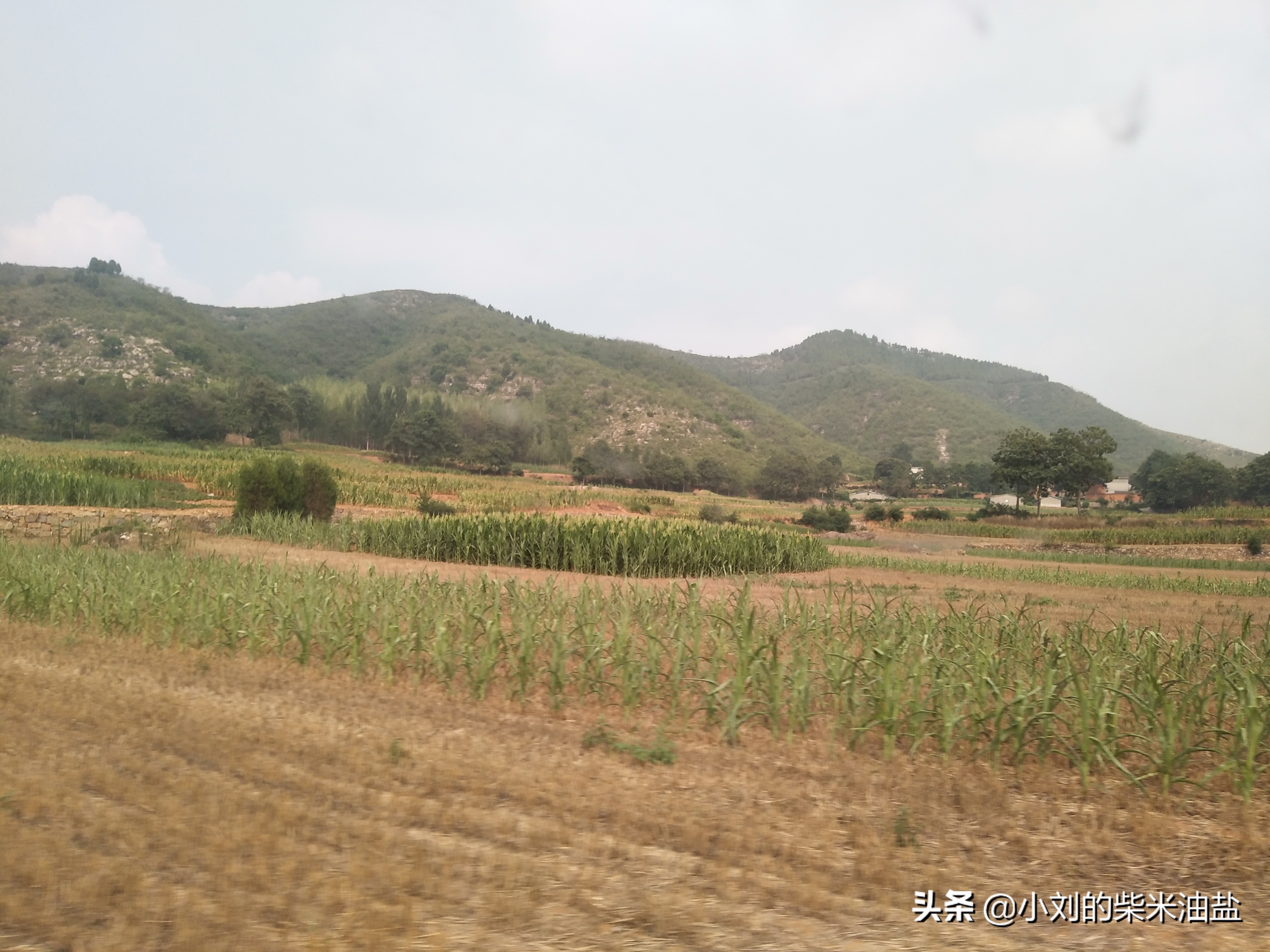 乡村教师做点什么兼职,适合农村教师的副业