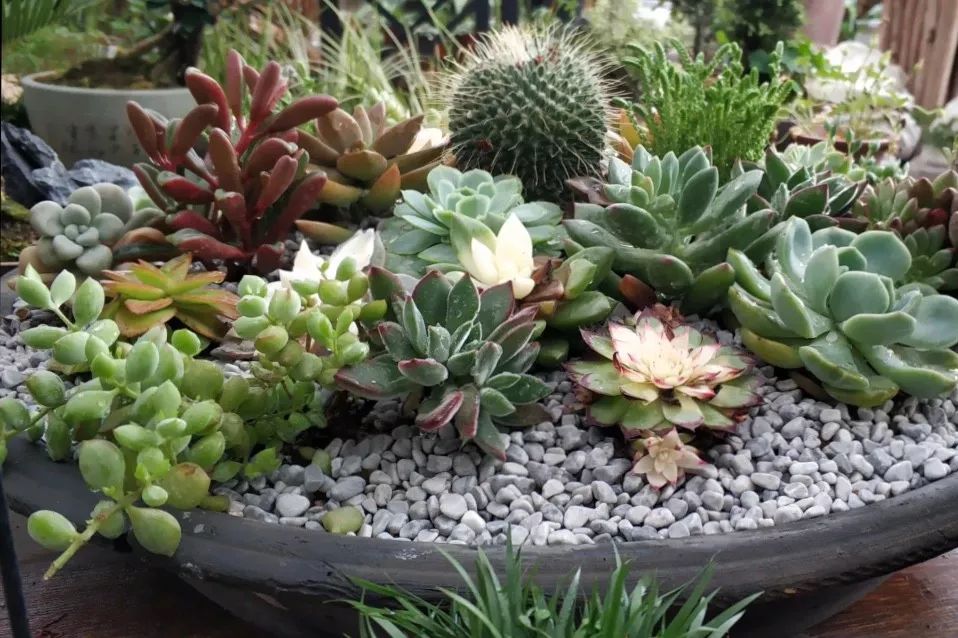 西安批发市场大全,西安最全批发市场地址