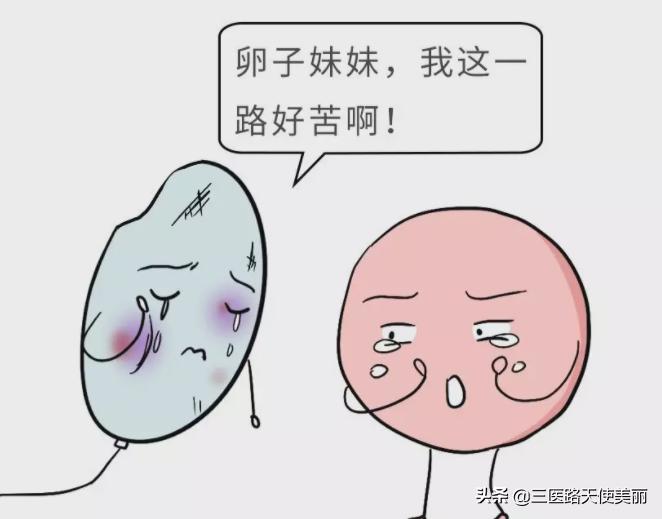 女性不孕不育原因,中医讲不孕不育的5大原因