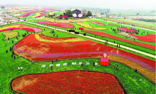 合肥蜀山区晚报,合肥晚报滨湖区