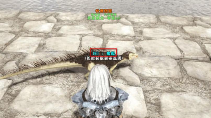 方舟手游体型小负重高的龙,方舟生存进化体型最大