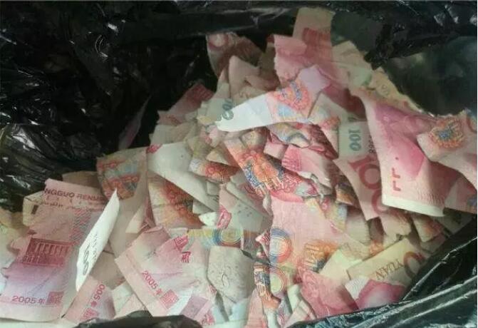 宝宝爱撕东西,宝宝自从学会撕纸