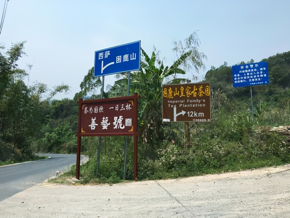 云南普洱茶十大名茶排名一览表,云南普洱茶十大名茶排行榜