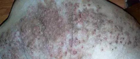 狗狗不同品种颜色分类,狗狗不同的类型有哪些特点