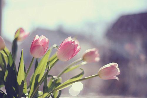 鼓励自己努力的语句励志,积极努力励志的说说简短