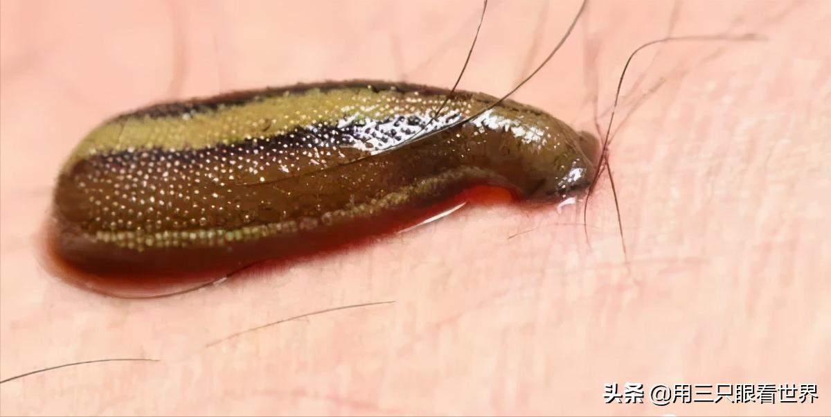 知青难忘的岁月,知青难忘的回忆故事