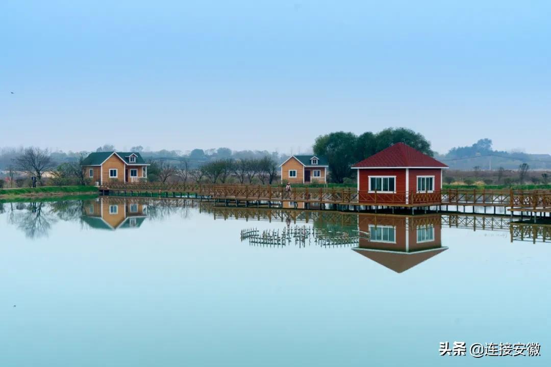 安徽合肥免费旅游攻略,合肥春节免费游怎么预约