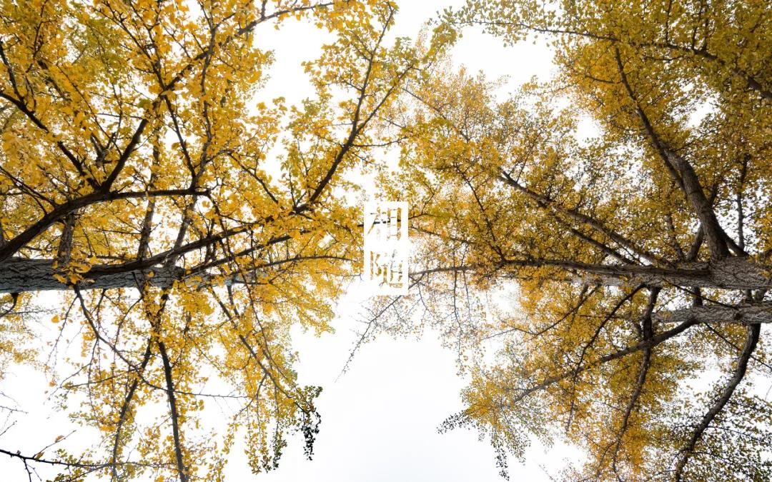 三亚和厦门哪个更值得去玩,三亚和厦门哪个更值得去游玩