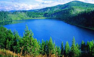 12.20晚间黄金原油操作建议,德指dax期货