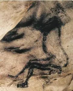 现代医学还在石器时代,新石器时代人类已经掌握哪个技术