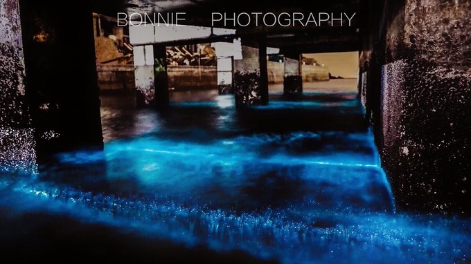 嵊泗列岛3天2夜攻略,嵊泗本岛三天两夜自由行攻略