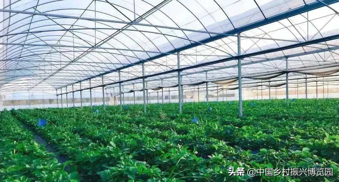 井陉人做了什么,井陉优秀人物