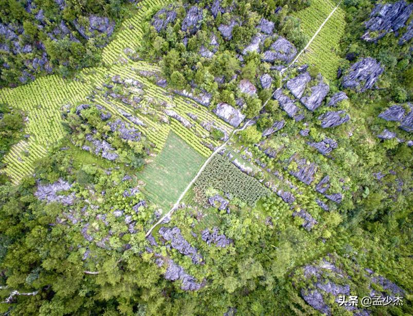 巫溪县兰英大峡谷景点,巫溪县旅游景点地图