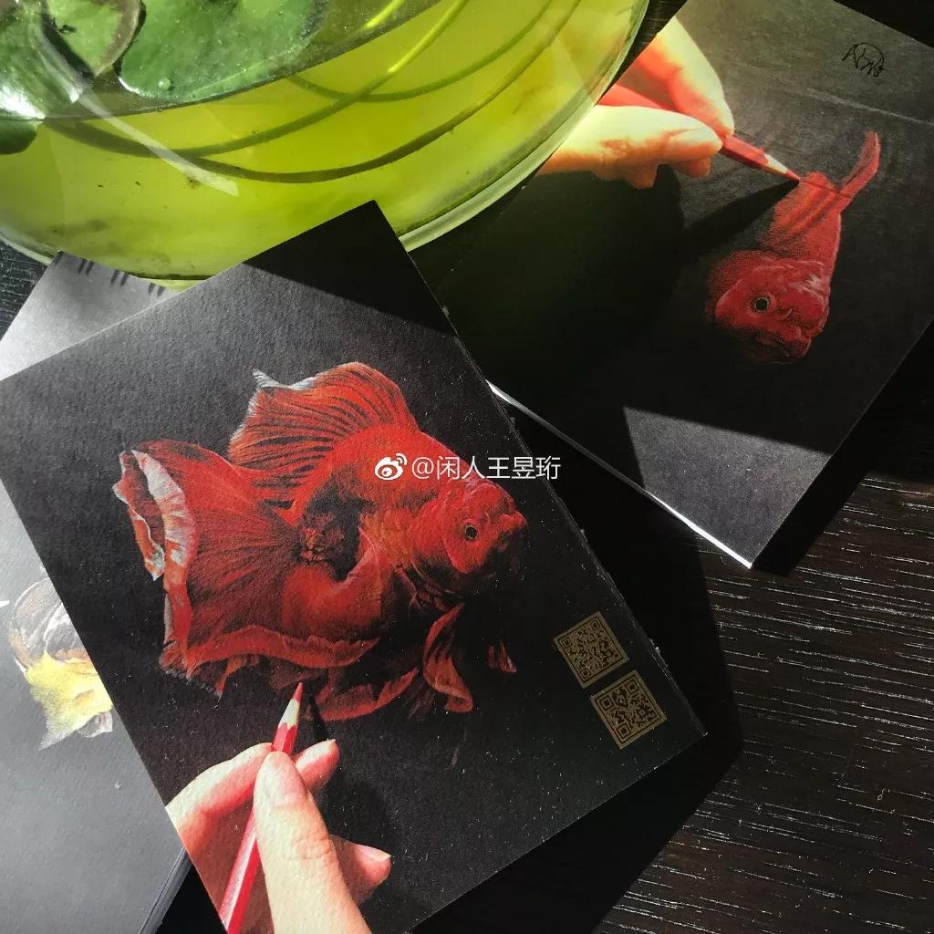 最强大脑王昱珩清华毕业后不上班,王昱珩上学经历