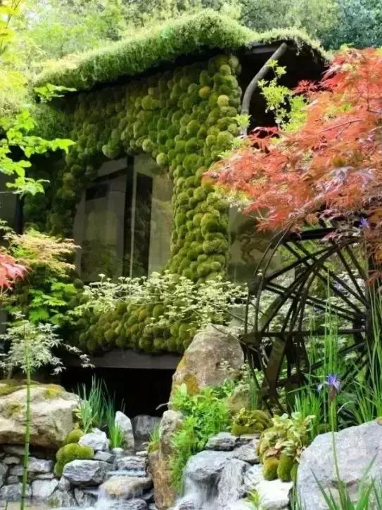 禅意庭院一定要用苔藓吗,禅意苔藓微景观制作视频