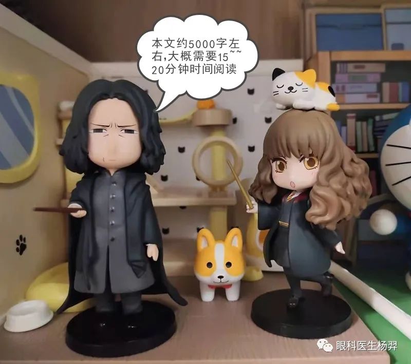 防范近视的户外活动,户外活动防控近视背后的秘密