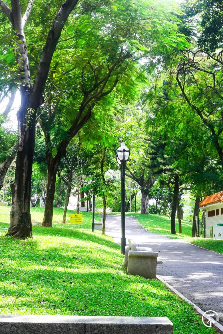 深圳“厂妹”村：租客月入4000，房租500