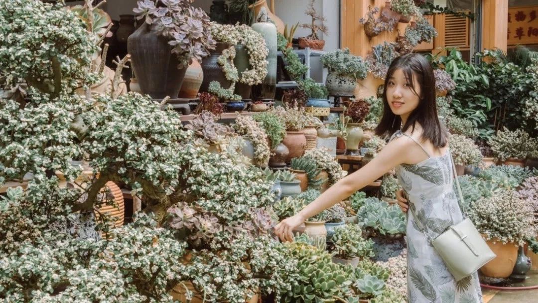 深圳游玩最佳地点排行榜前十名,深圳适合小孩游玩最佳地方推荐