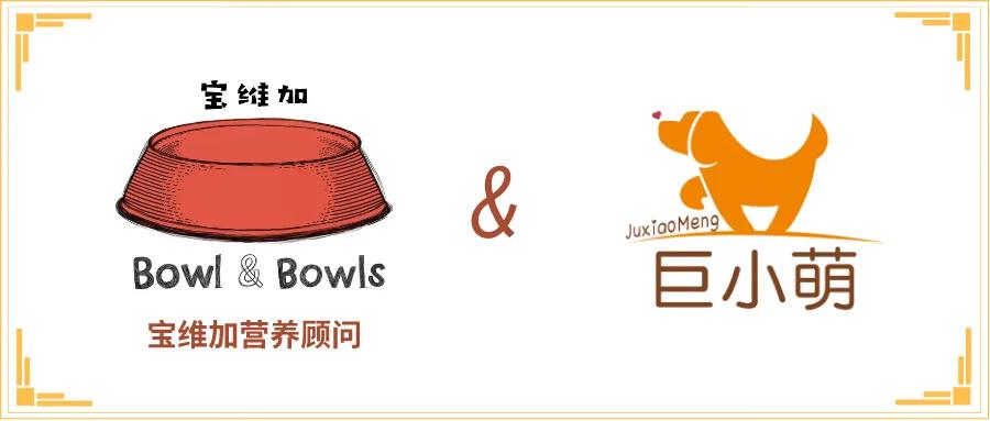 领养狗狗新西兰,新西兰如何养宠物狗狗呢