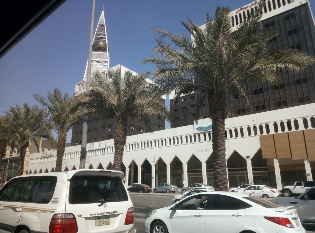 去沙特阿拉伯做什么工作,去沙特阿拉伯有什么条件