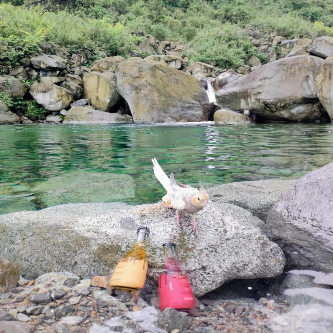 成都周边凉快又可以耍水的地方,成都周边哪有耍水的地方