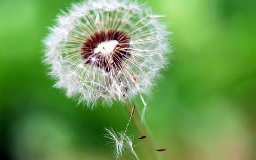 2021全国硕士研究生招生考试英语,2019年研究生英语真题