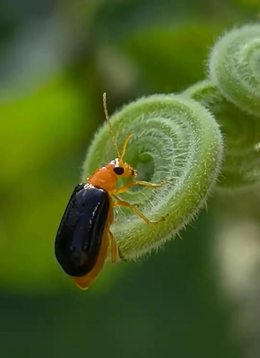 手拍世界809期获奖作品名次,手拍世界投稿