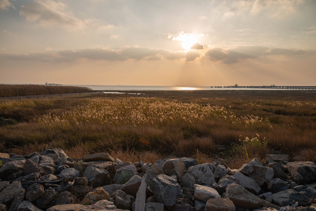 上海城隍庙豫园全部风景,上海城隍庙附近好玩的景点推荐